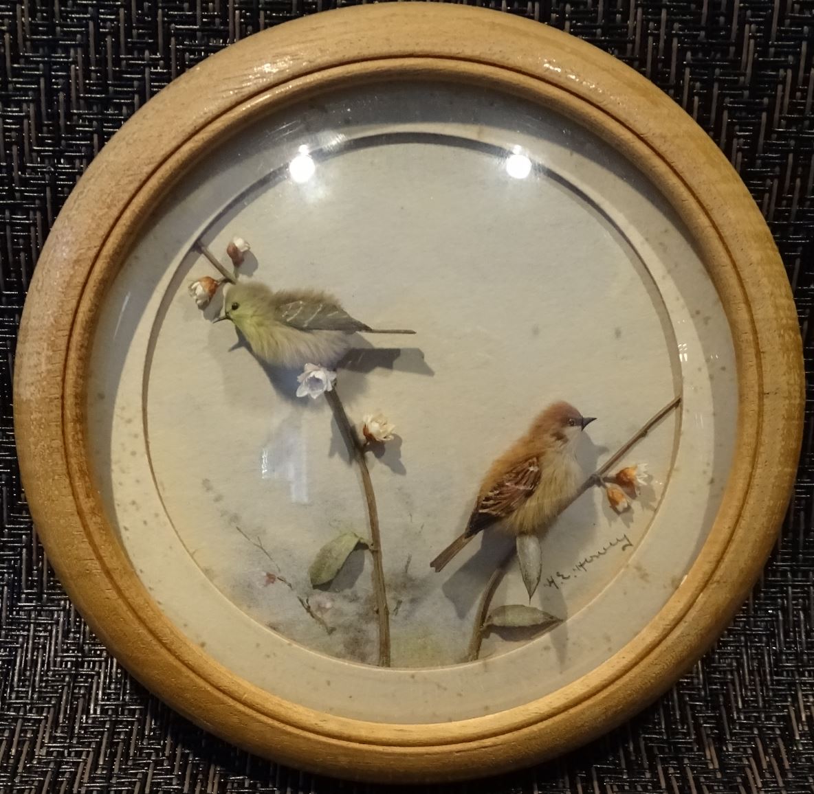 Wood Warbler and Tree Sparrow (5-inch)